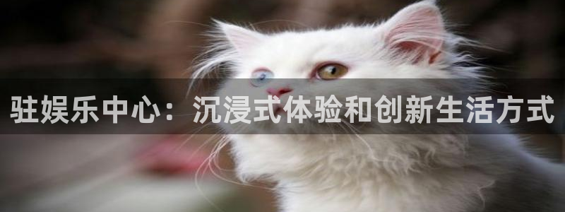 优游国际官网首页：驻娱乐中心：沉浸式体验和创新生活方式