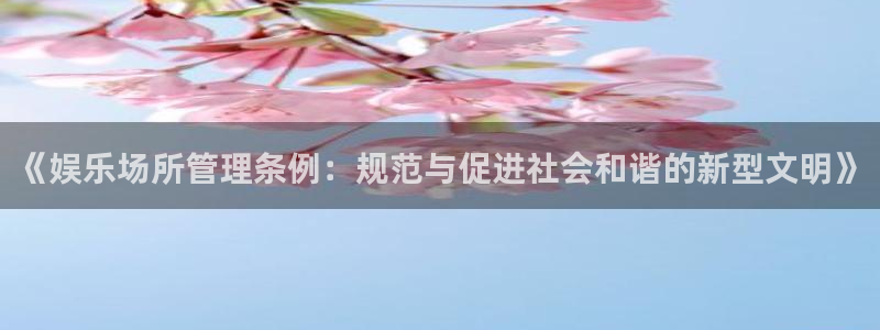 优游国际官网首页：《娱乐场所管理条例：规范与促进社会和谐的新型文明》
