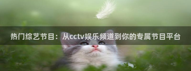 优游国际官网：热门综艺节目：从cctv娱乐频道到你的专属节目平台