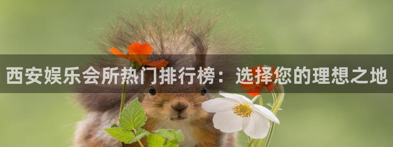 优游国际官网客服电话：西安娱乐会所热门排行榜：选择您的理想之地