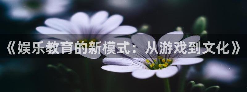 优游国际官网首页：《娱乐教育的新模式：从游戏到文化》