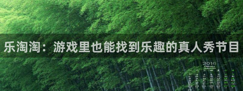 优游国际官网客服电话：乐淘淘：游戏里也能找到乐趣的真人秀节目