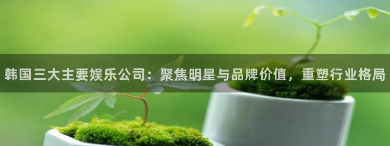 优游国际官网：韩国三大主要娱乐公司：聚焦明星与品牌价值，重塑行业格局